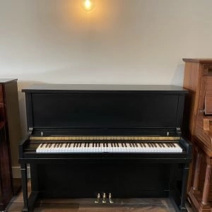 Hamilton Sn123580 piano